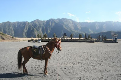 Obyek wisata probolinggo, lautan pasir bromo