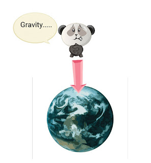 Where does gravity come from?