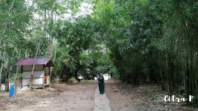 wisata hutan bamboe balikpapan