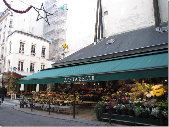 Photo du fleuriste de la Rue de Buci par Louis CHATEL