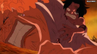 ワンピースアニメ 503話 幼少期 エース ダダン | ONE PIECE Episode 503 ASL