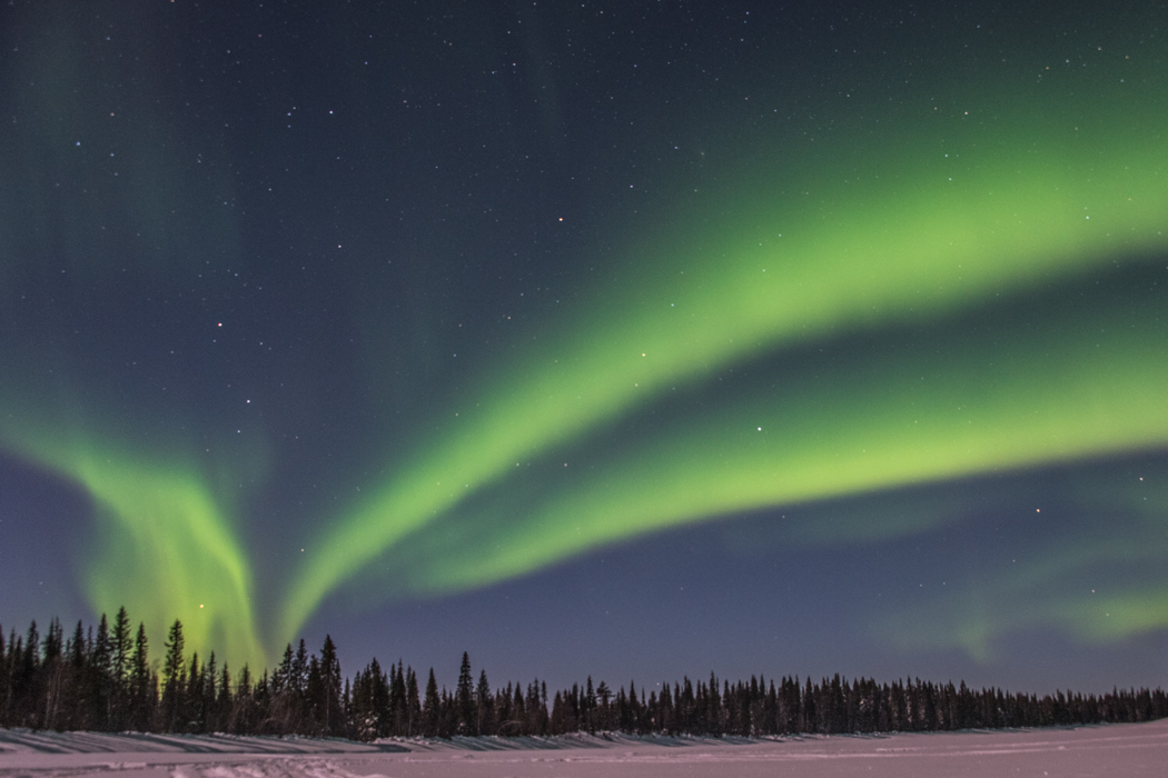 Aurora, Pinetree Lodge, Sweden