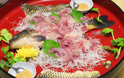 Japanese Food Sashimi