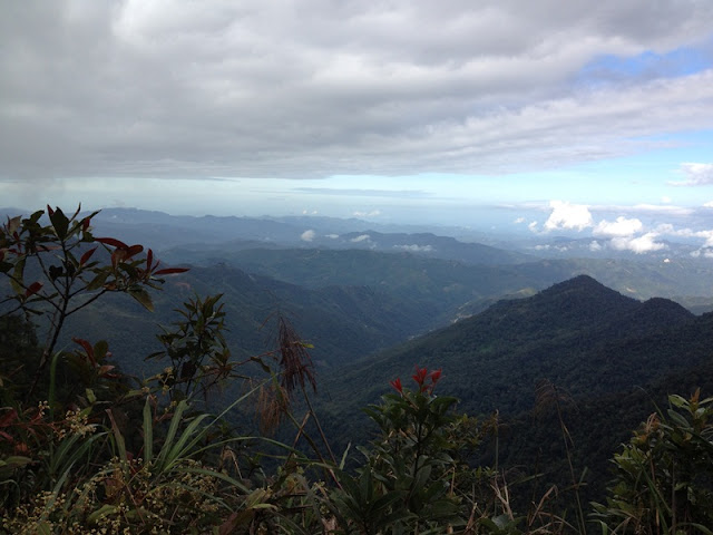 kaki gunung kinabalu