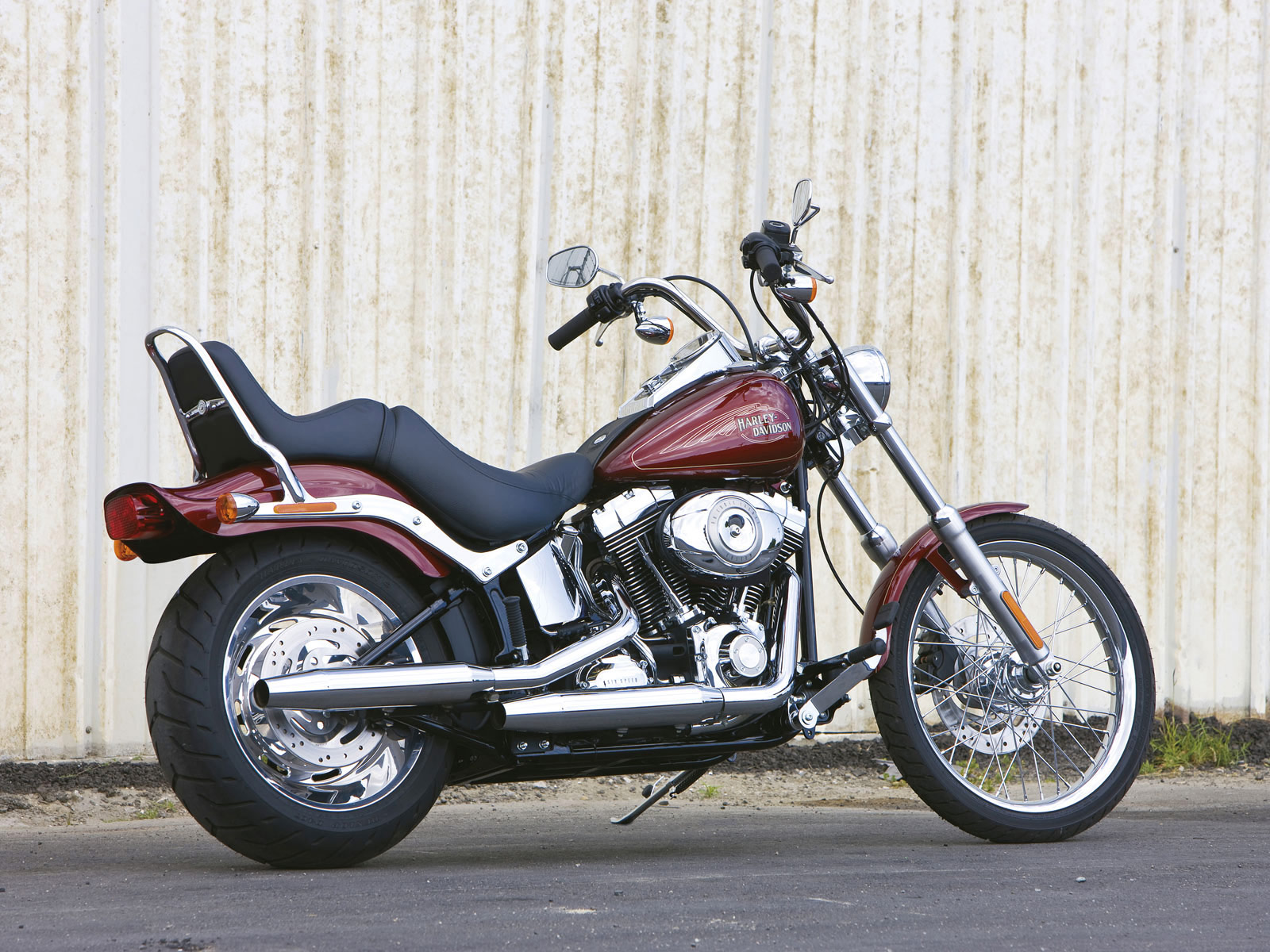 2009 Harley  Davidson  FXSTC Softail  Custom pictures