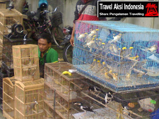 Lihat-Lihat Burung Di Pasar Hewan Purbalingga 