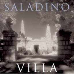 Leather Slipcovers John Saladino