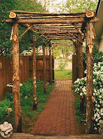 Arbor Photos4