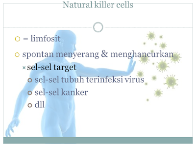 Natural Kuller Cells