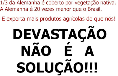 A Alemanha tem um terço do território coberto por vegetação nativa, é 20 vezes menor que o Brasil e exporta mais produtos agrícolas