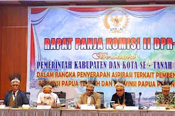 Ahmad Doli Sebut Panja Komisi II DPR RI Seriusi 2 Aspirasi Terkait 3 RUU DOB Papua