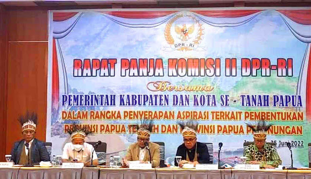 Ahmad Doli Sebut Panja Komisi II DPR RI Seriusi 2 Aspirasi Terkait 3 RUU DOB Papua.lelemuku.com.jpg
