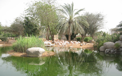 Al Ain Zoo