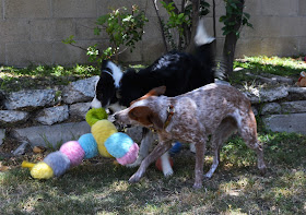 Giant stuffed caterpillar squeaky plush dog toy