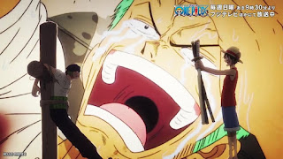 ワンピース エッグヘッド編 EDテーマ Dear sunrise 歌詞 大槻マキ ONE PIECE アニメ主題歌 エンディング