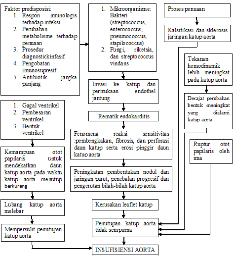 Patofisiologi Regurgitasi Insufisiensi Katup Aorta