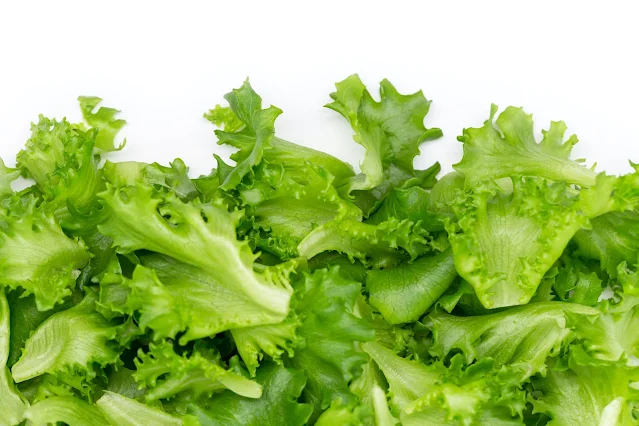 THE BENEFITS OF LETTUCE FOR HEALTH