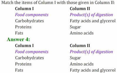 NCERT Solutions for Class 7 Science Chapter 2 - Nutrition In Animals | Latest NCERT Solutions for Class 7th Chapter 2 Nutrition in Animals Question Answers | कक्षा 7 विज्ञान अध्याय 2 प्रश्न उत्तर | EDU-Favor