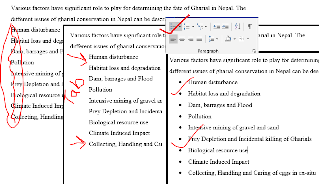 How to make formal document in Ms Word?