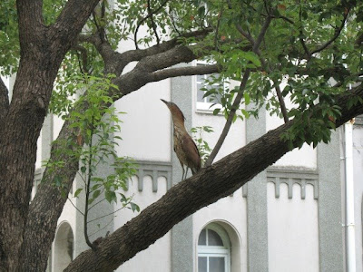 台南神學院