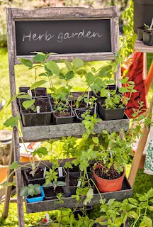 Container Gardening