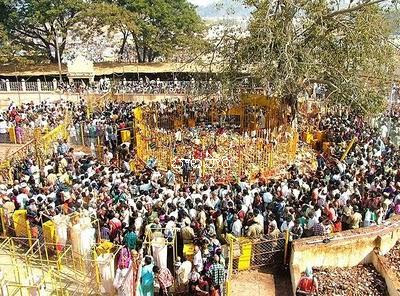 Medaram jatara Warangal