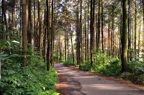 Pesona Gunung Pancar Bogor