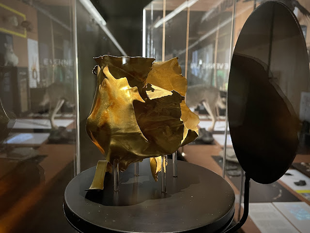 Interno del Palazzo dei Musei a Reggio Emilia, la Tazza d'Oro, foto di Monica Galeotti.