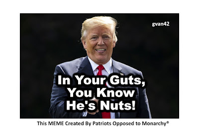 In Your Guts You Know Hes Nuts - Trump Failed Meme - gvan42