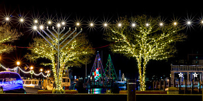 Annapolis Harbor at Night