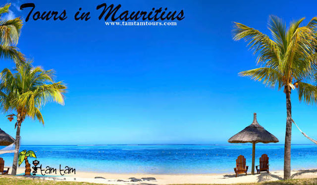  tours in Mauritius