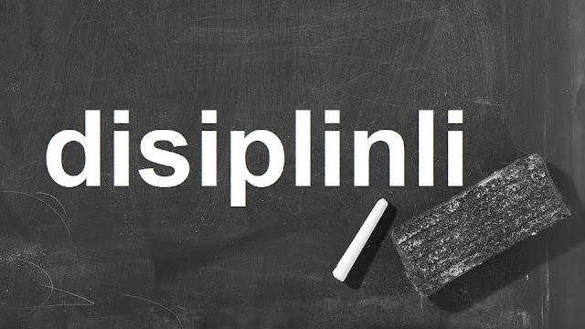 disiplinli