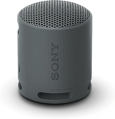 Sony Travel Speaker