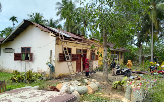 Aceh Timur, Cuaca Ekstrem, Hujan Deras, Angin Kencang, Kerusakan Rumah, Pohon Tumbang