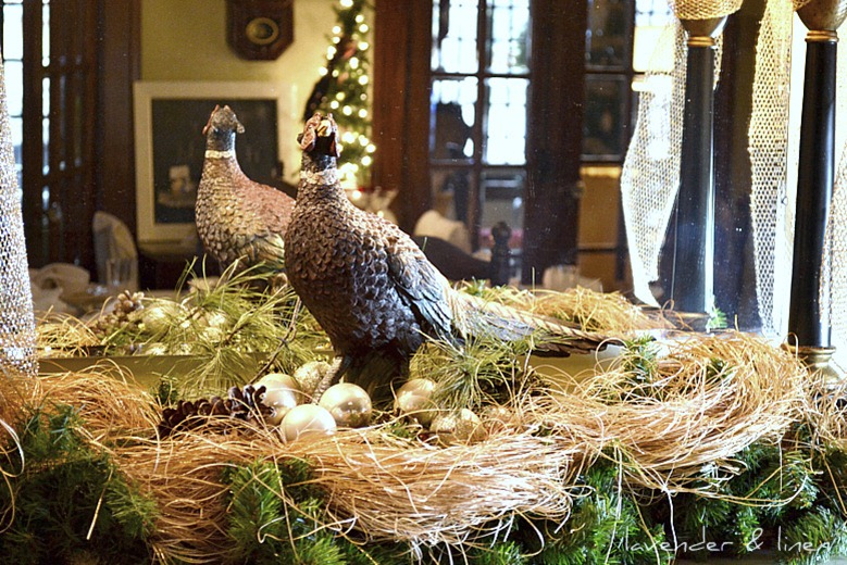Christmas 2011 031-1