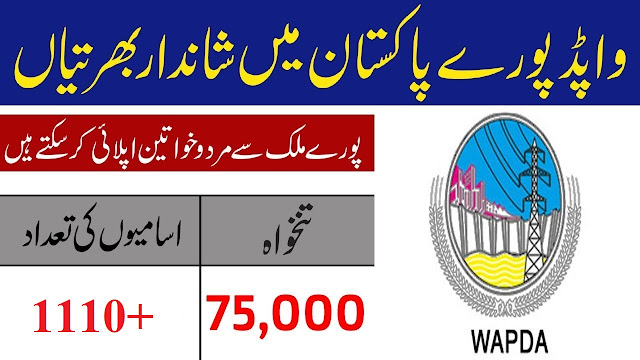 1110+Vacancy in WAPDA Jobs 2020 Apply Online