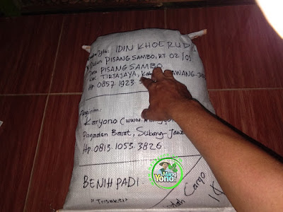 Benih Pesanan  IDIN KHOERUDIN Karawang, Jabar(Sesudah Packing)