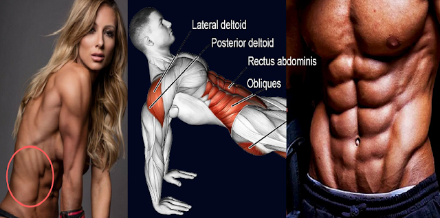 5 Best Oblique Exercises to Make Your Core Strong And Rock Solid