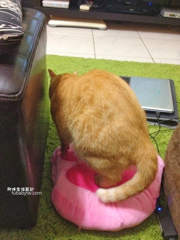 調整大小IMG_1481