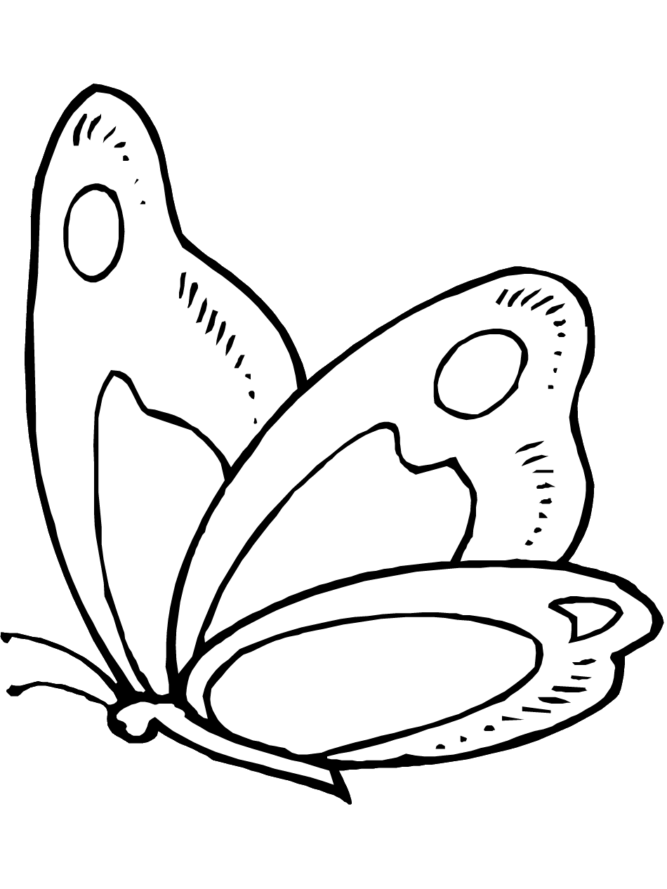Butterfly Coloring Pages and Printables | Animal Coloring ...