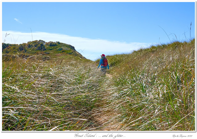 Great Island: ... and the glitter...