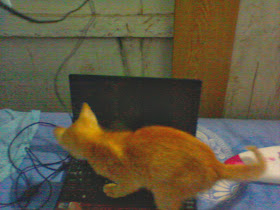 Foto Nyunyu main Laptop