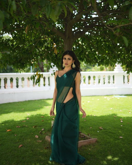 Actress Mouni Roy Latest Hot Photos in Green Saree & Insta Video