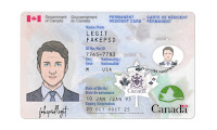 Canada ID Card PSD Template only || Canada ID Card PSD Template only