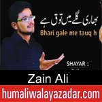 https://humaliwalaazadar.blogspot.com/2019/09/zain-ali-nohay-2020.html