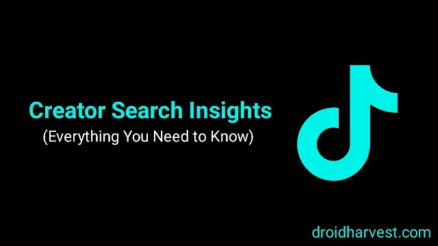 TikTok Search Insights