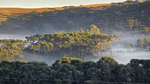 Primeira geada do ano é registrada na serra catarinense 