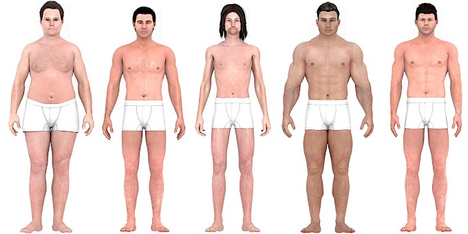 How the "ideal" male physique has transformed over the past 150 years, progressing from wide waists in the 1870s to the muscular man of today