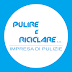 Pulire e Riciclare sponsor ufficiale di AUDACE CALCIO dal 2019