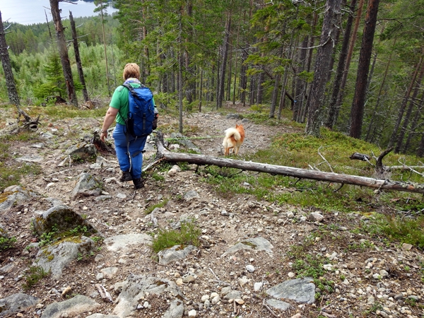 hyttetur vassfaret Aurdalsfjorden Vassfarstien